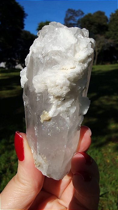 Cristal Interferência com Albita