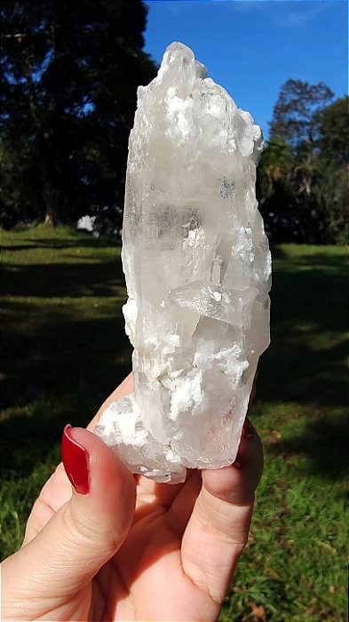 Cristal Interferência com Albita