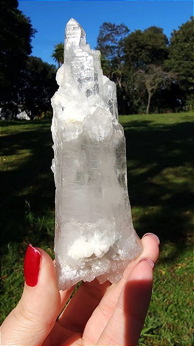 Cristal Interferência com Albita Autocurada