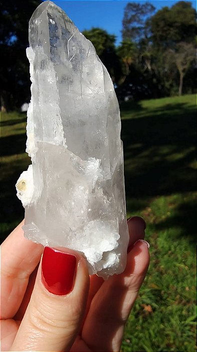Cristal Interferência com Albita Autocurada