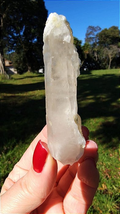 Cristal Interferência com Albita Autocurada