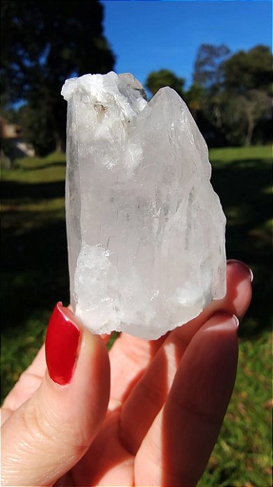 Cristal Interferência com Albita