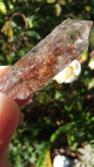 Cristal com Rutilo Carrapicho