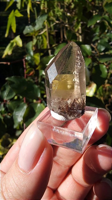 Quartzo com Inclusão de Rutilo de Cobre e Elo do Tempo Passado