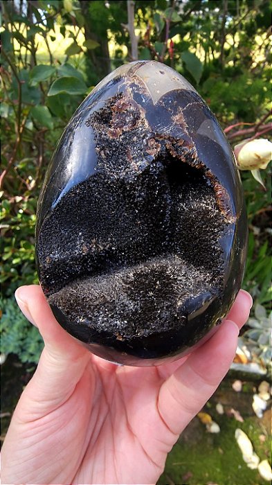 Septariana