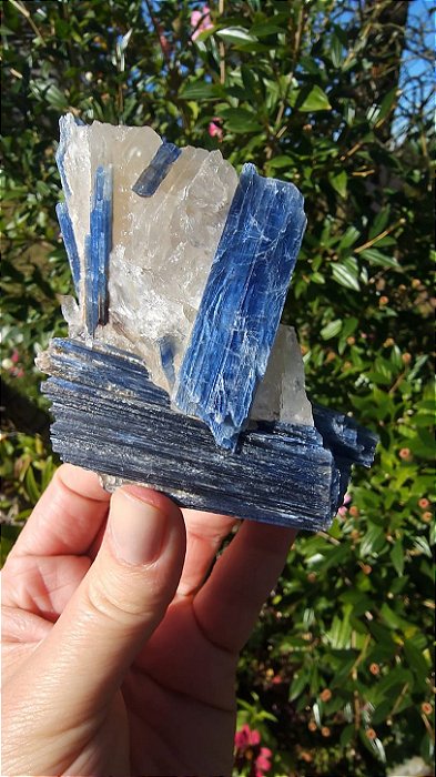 Cianita Azul com Quartzo