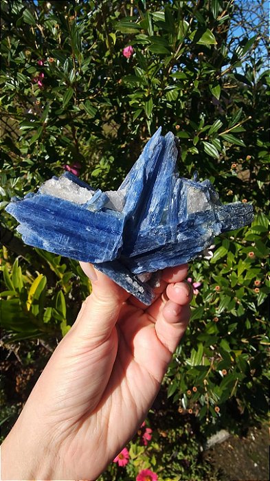 Cianita Azul com Quartzo