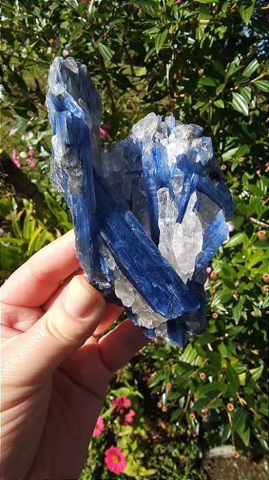 Cianita Azul com Quartzo