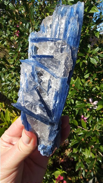 Cianita Azul com Quartzo