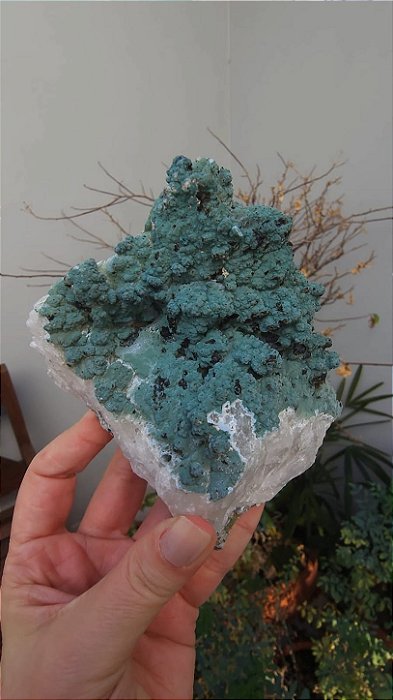 Drusa de Quartzo Coberta de Celadonita