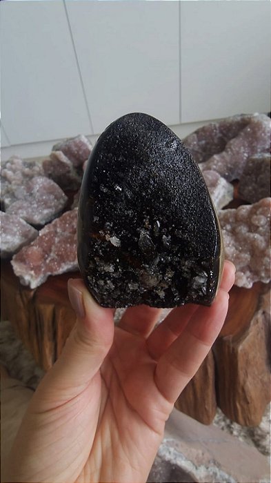 Septariana