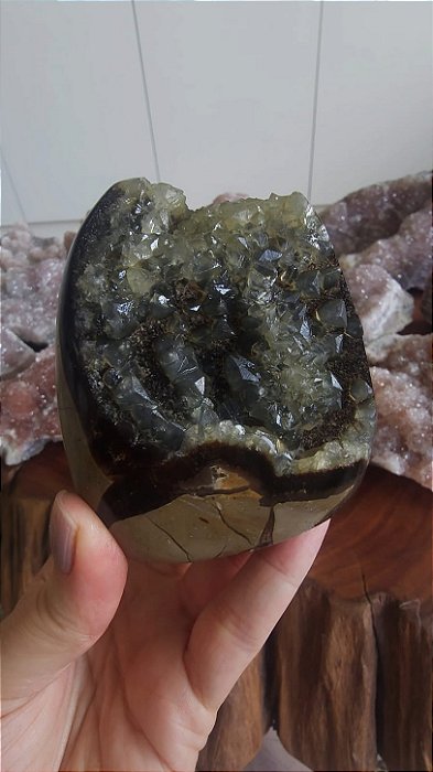 Septariana