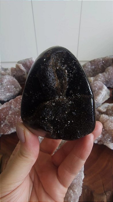 Septariana