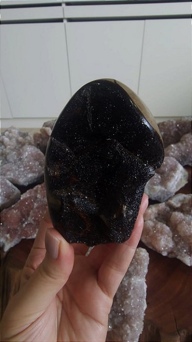 Septariana