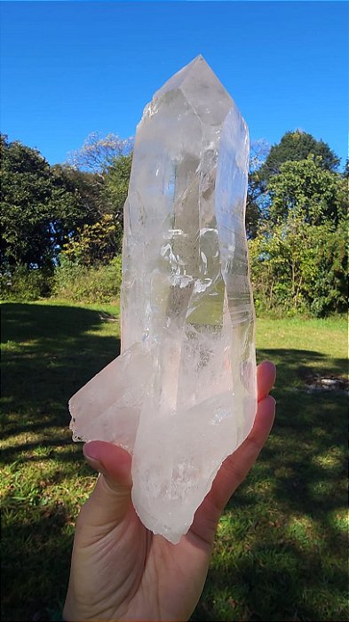 Lemuriana Ísis Autocurada