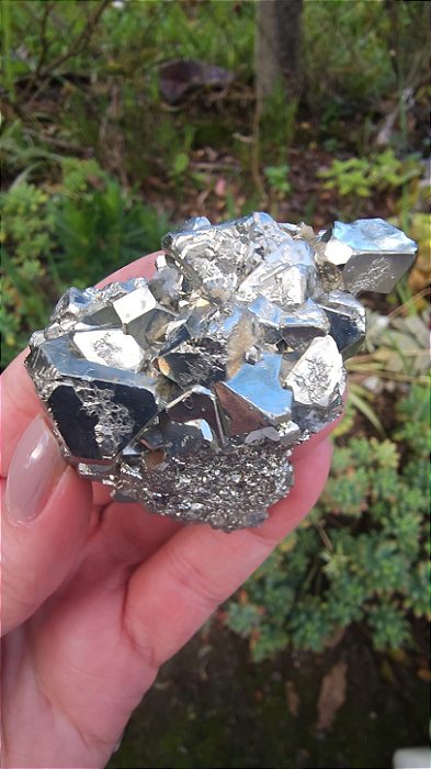 Pirita Peruana