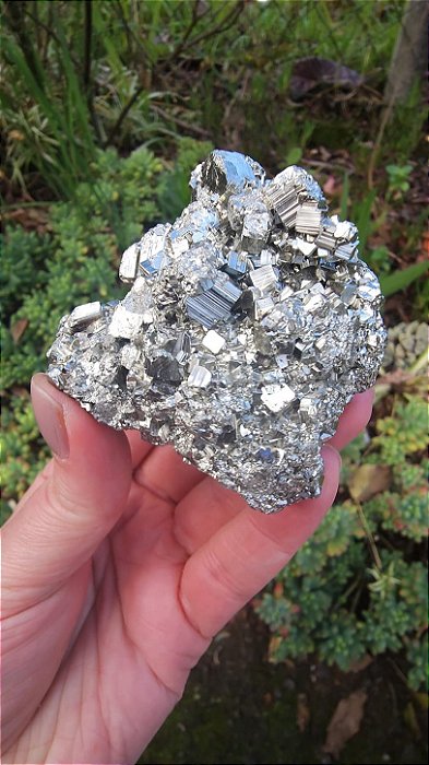 Pirita Peruana