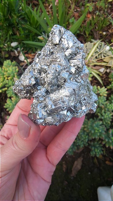 Pirita Peruana