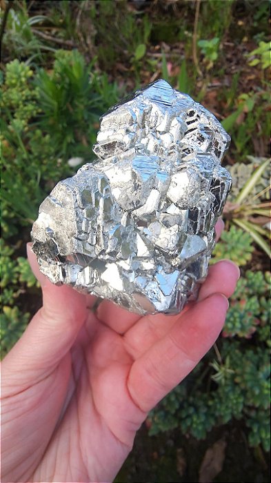 Pirita Peruana