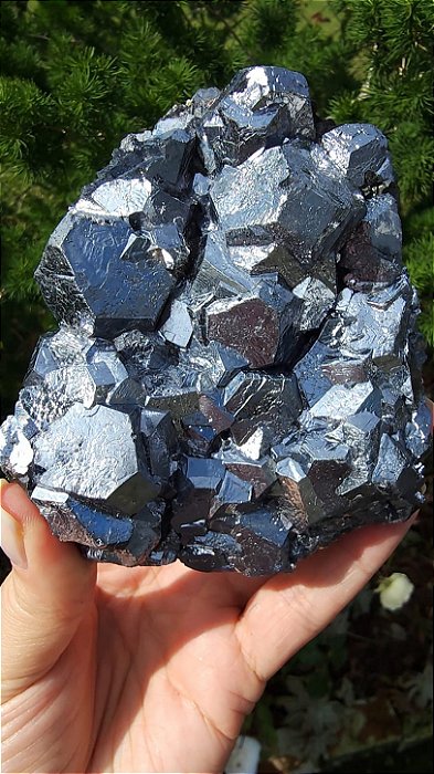 Galena Extra