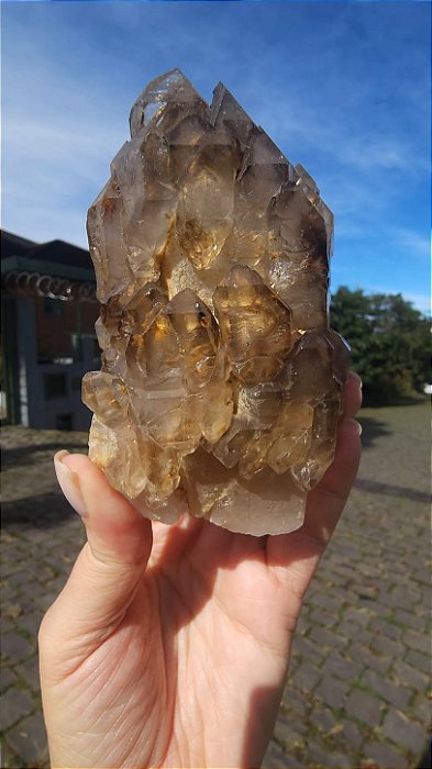 Elestial