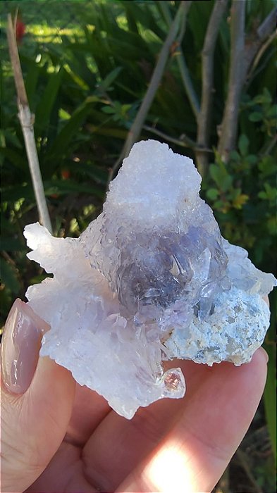 Flor de Cristal