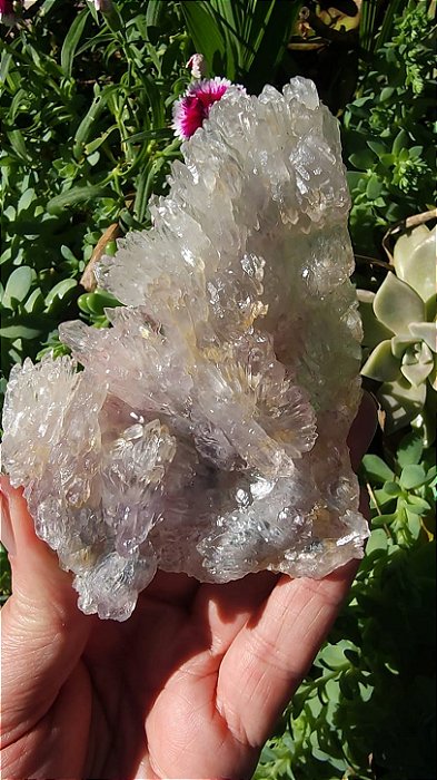 Flor de Cristal