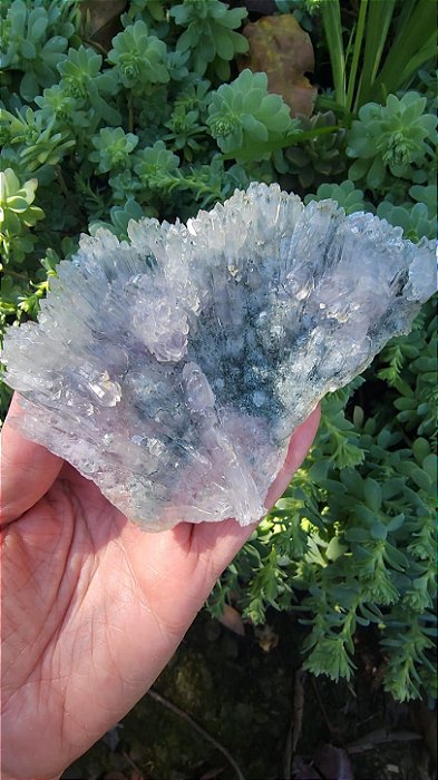 Flor de Cristal
