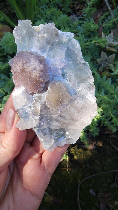 Flor de Cristal