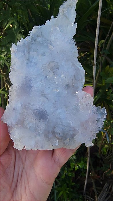 Flor de Cristal
