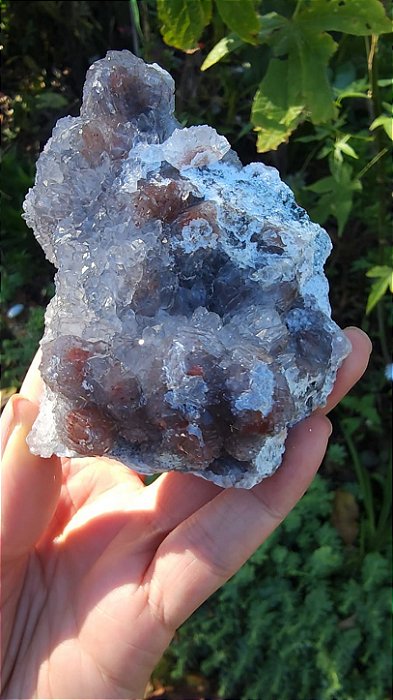 Flor de Cristal