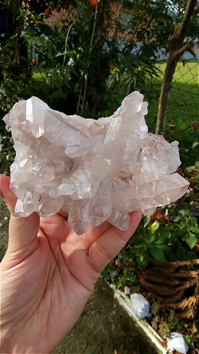 Drusa de Cristal Rosa