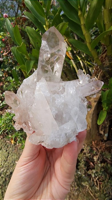 Drusa de Cristal Rosa
