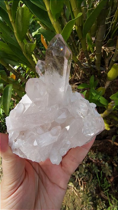 Drusa de Cristal Rosa Ísis e Elos do Tempo