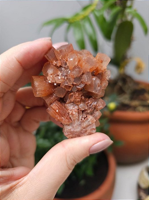 Aragonita Sputnik