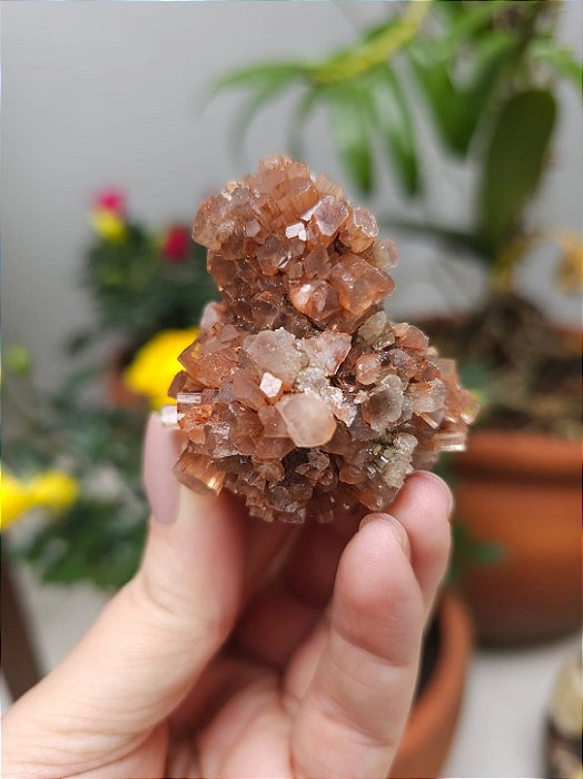 Aragonita Sputnik