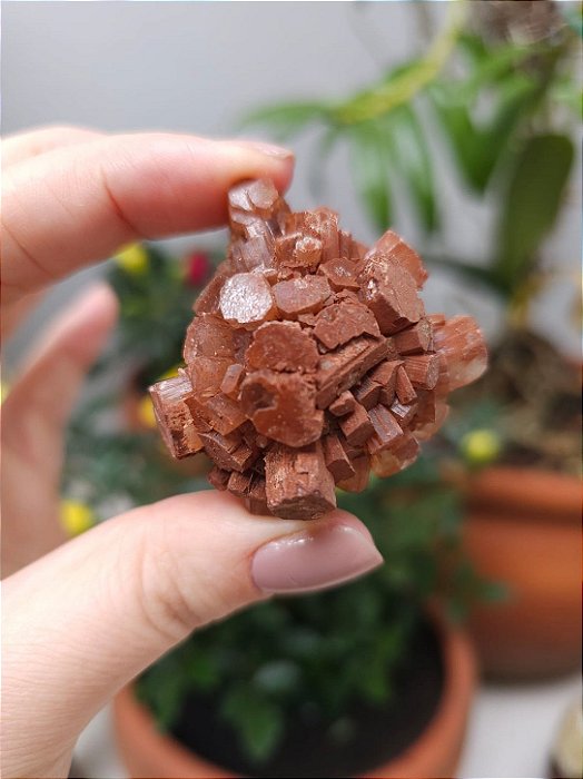 Aragonita Sputnik
