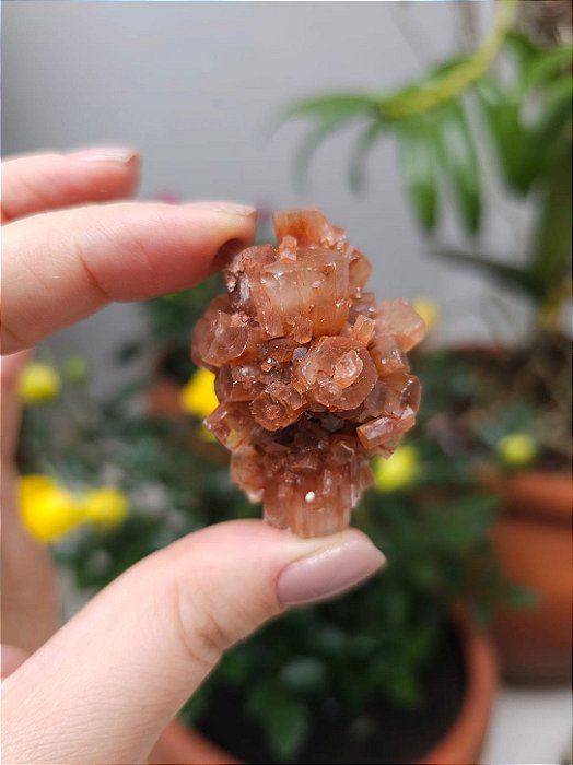 Aragonita Sputnik