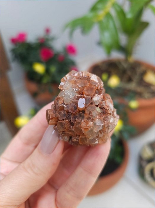 Aragonita Sputnik