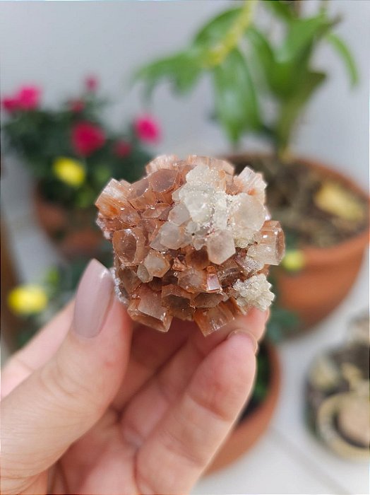 Aragonita Sputnik