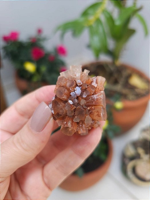 Aragonita Sputnik