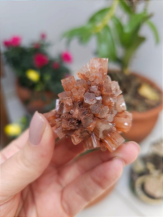 Aragonita Sputnik