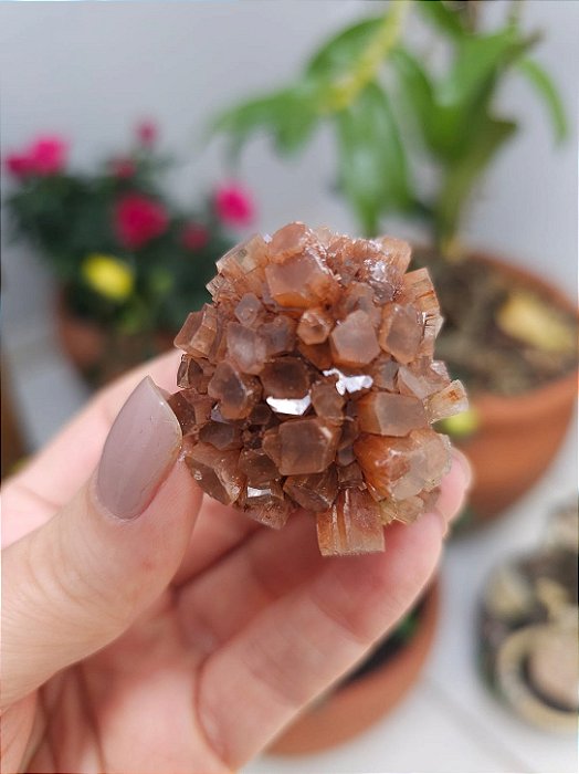 Aragonita Sputnik