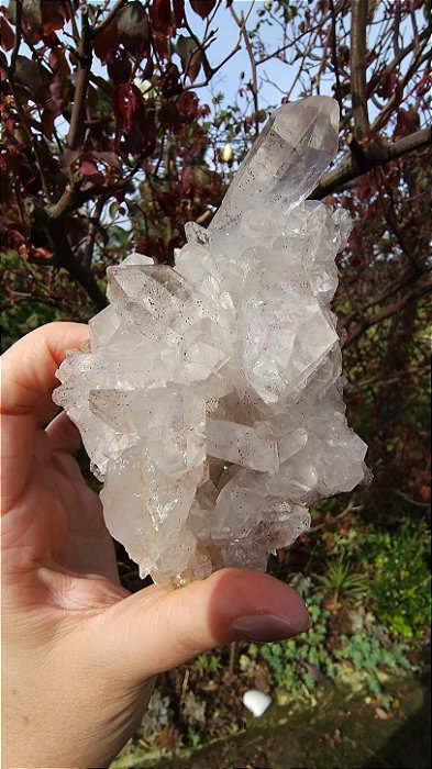 Drusa de Cristal com Hematita Autocurada