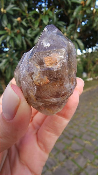 Elestial Biterminado