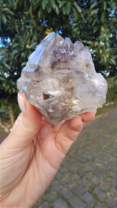 Elestial