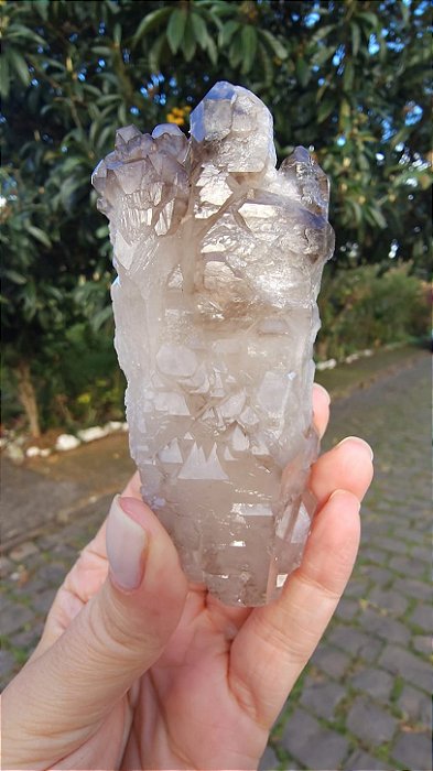 Elestial