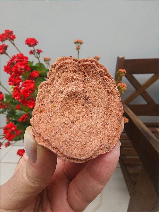 Estromatólito