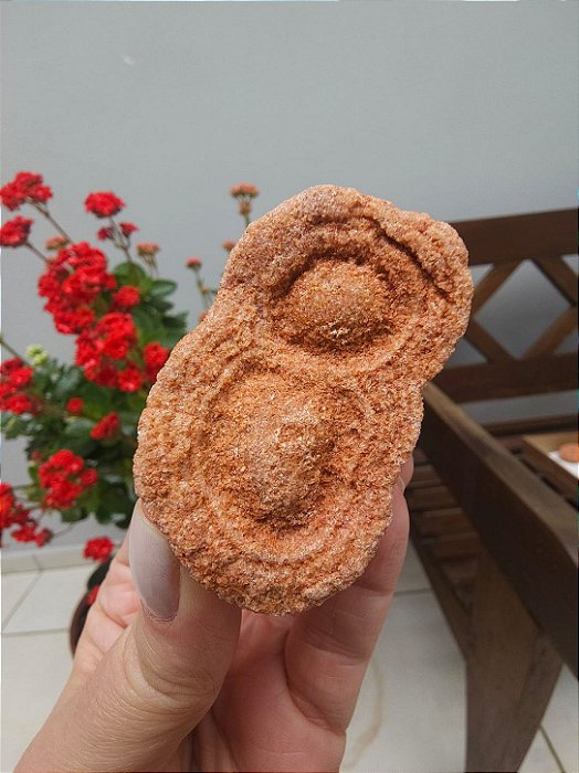 Estromatólito