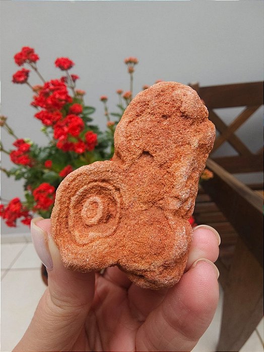 Estromatólito